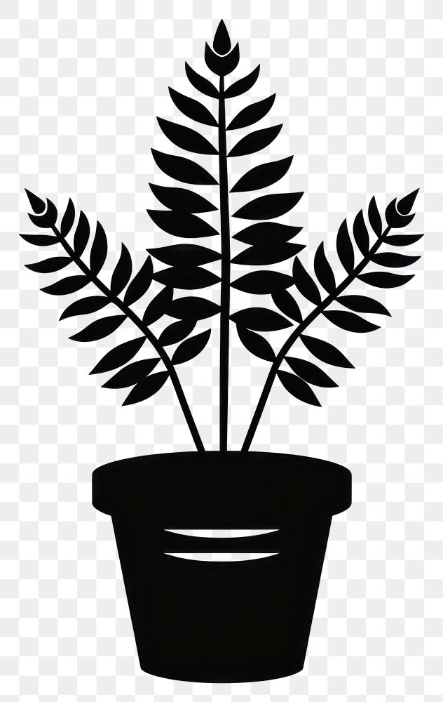 PNG Plant potted with fern plant silhouette simple.