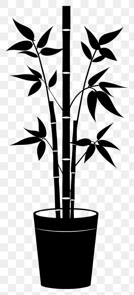 PNG Potted plant with bamboo silhouette potted black.