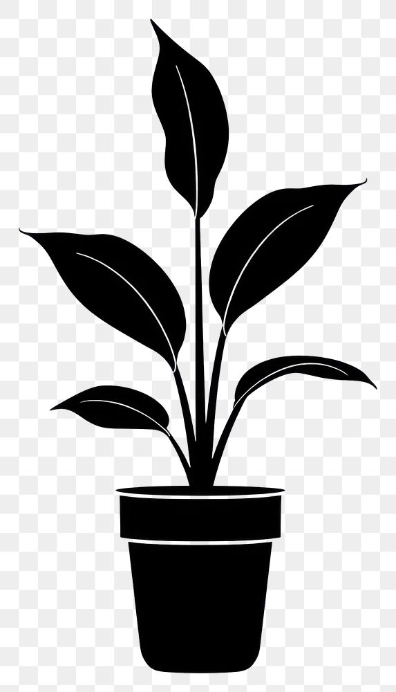 PNG Potted plant with aglaonema silhouette simple potted.