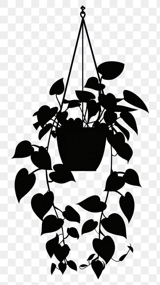 PNG Potted plant with pothos silhouette hanging leaves.