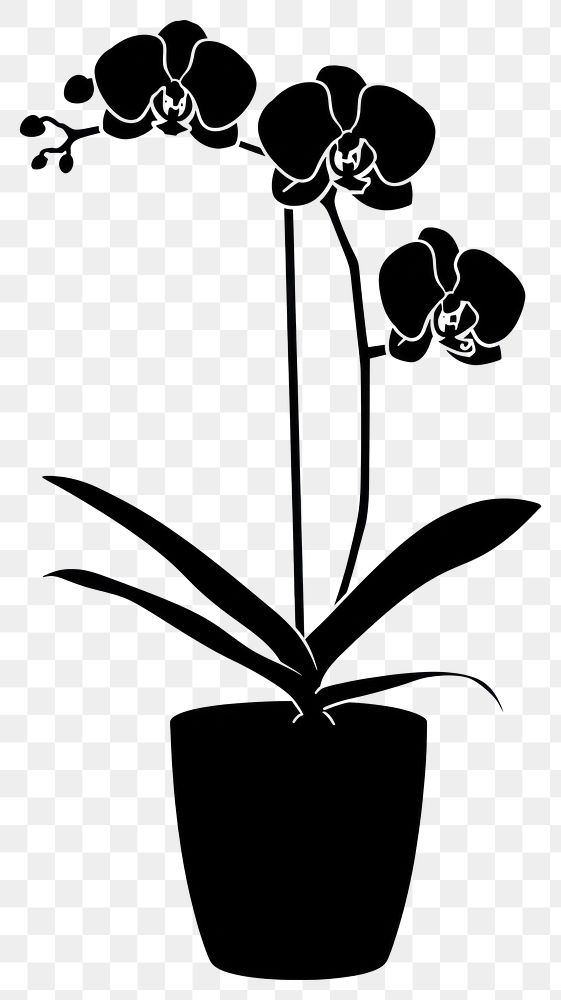 PNG Potted plant with orchid silhouette flower potted.