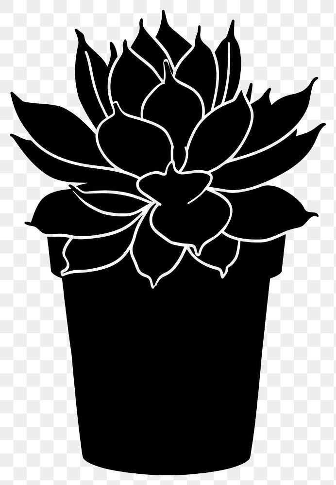 PNG Potted plant with succulent silhouette potted black.