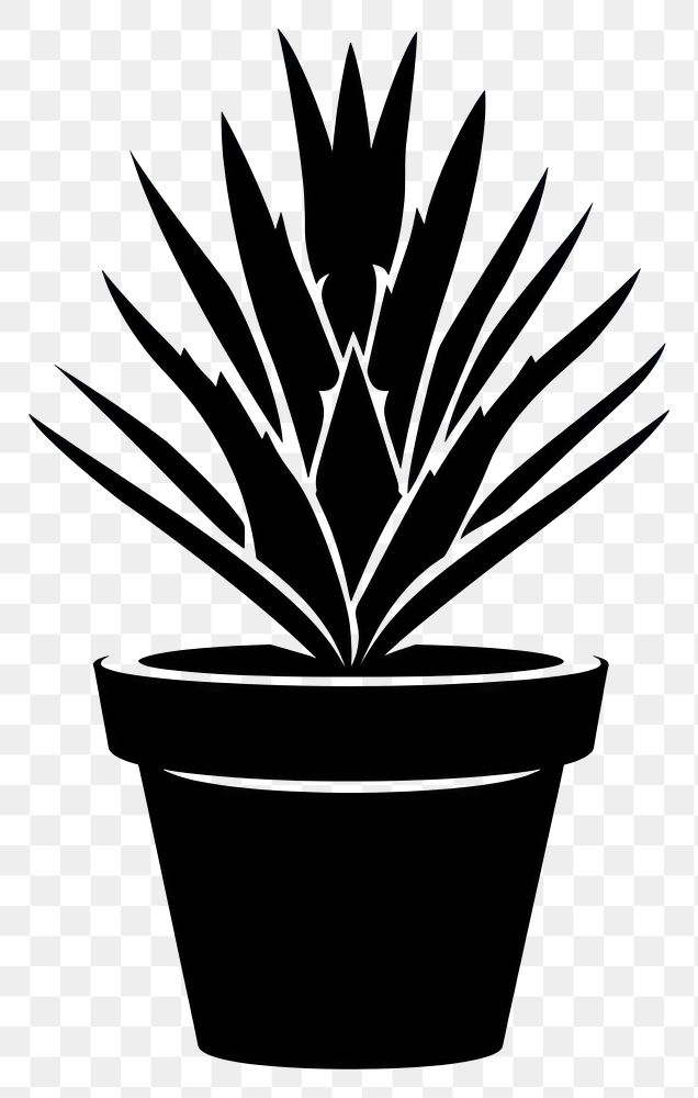 PNG Potted plant with agave silhouette potted black.