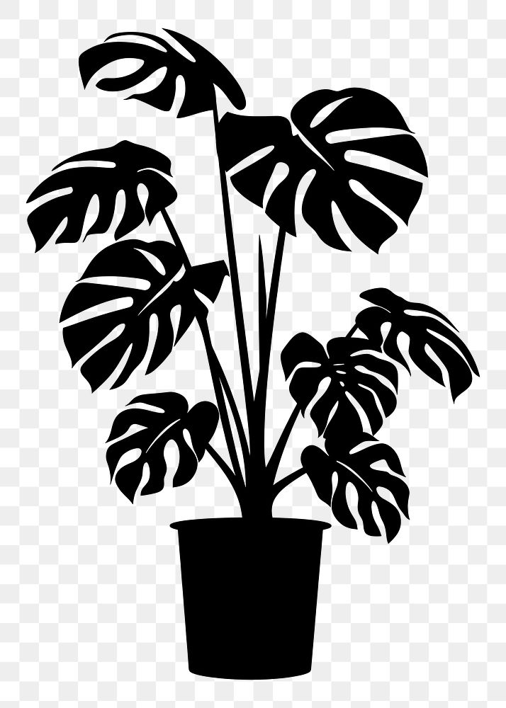 PNG Potted plant with monstera silhouette potted leaves.