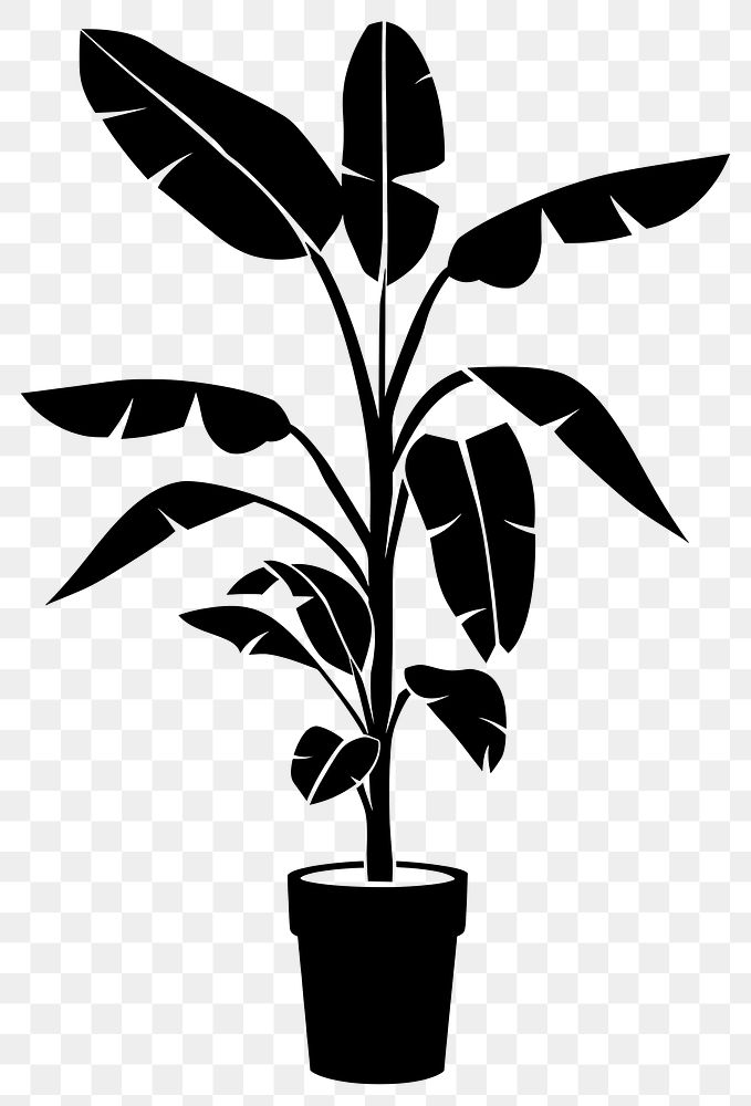 PNG Potted plant with banana tree silhouette potted black.