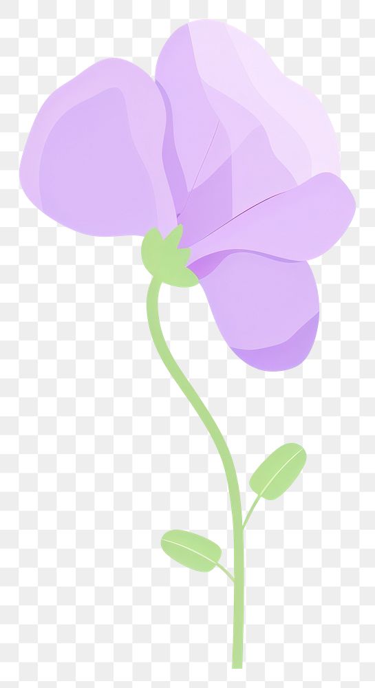 PNG Sweet pea flower illustration simple plant.