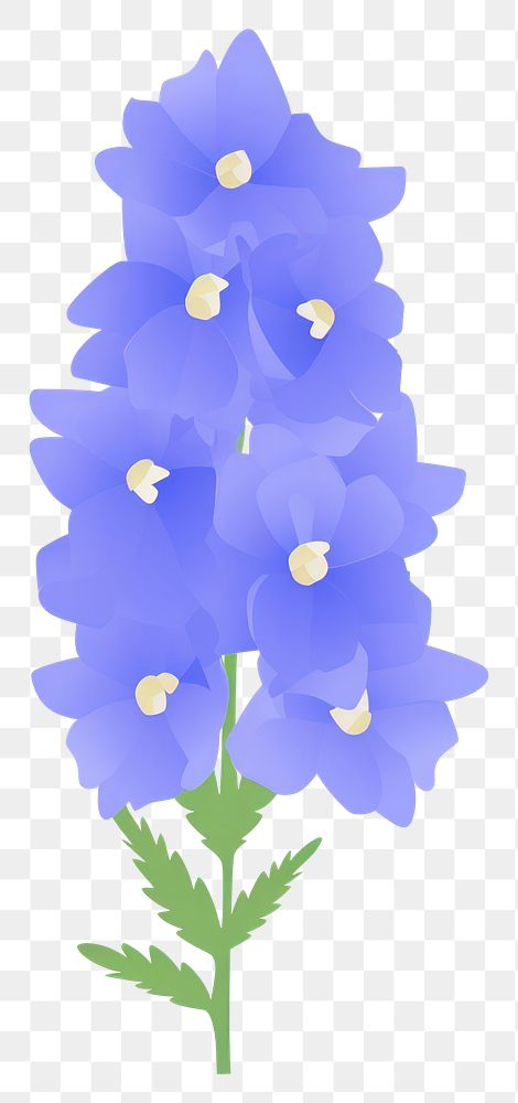 PNG Delphinium flower illustration petals plant.