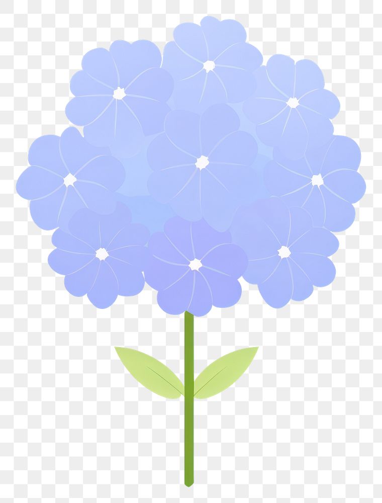 PNG Hydrangea flower illustration hydrangea petals.