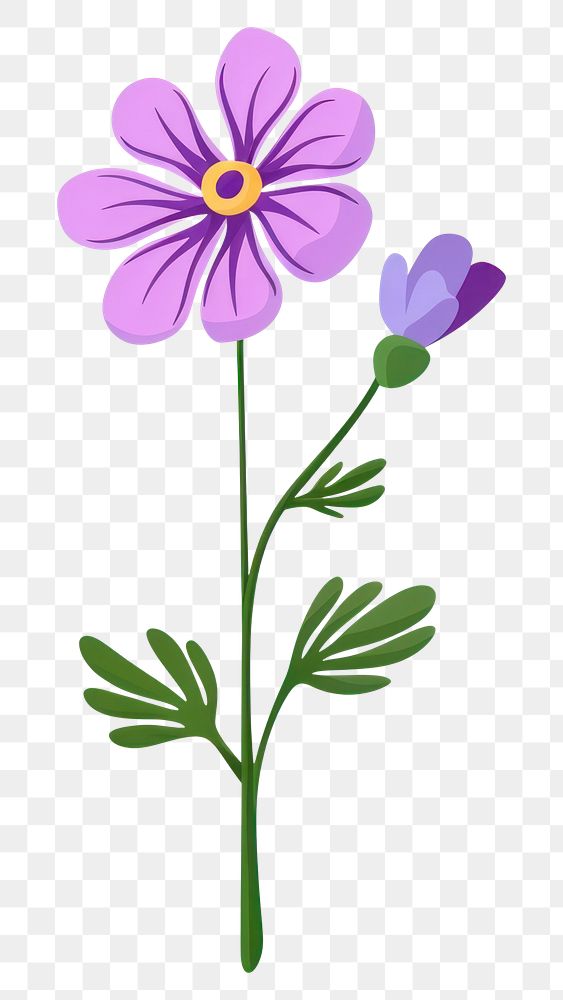 PNG Wildflower illustration floral art.