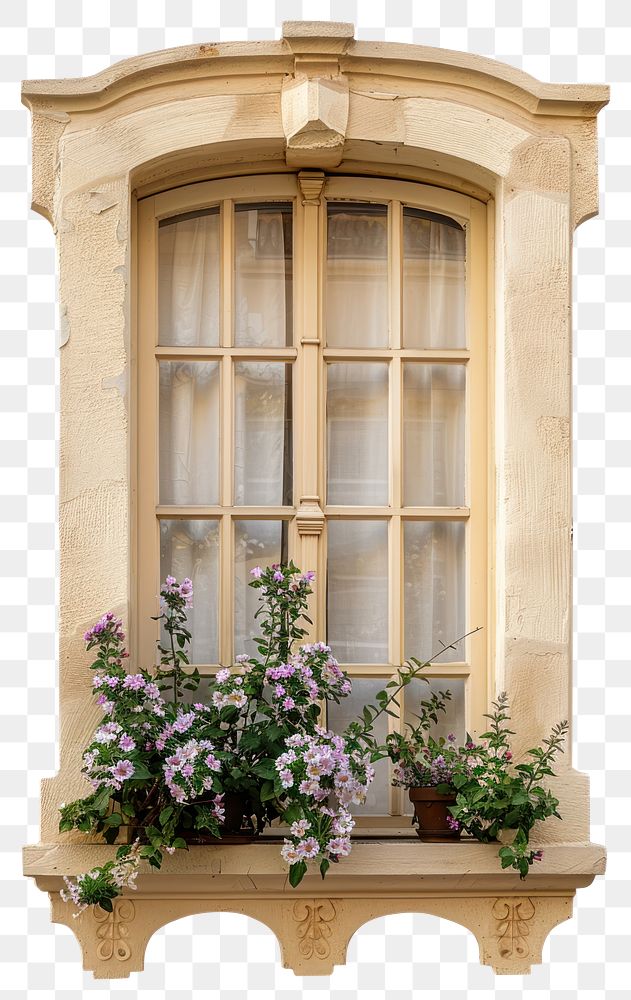 PNG Cottagecore of wooden window flowers vintage beige.