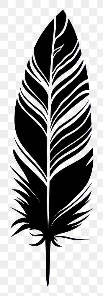 PNG Feather vector silhouette illustration stencil.