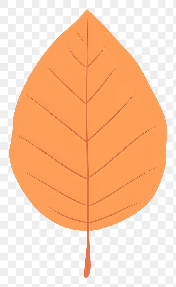 PNG Peach orange chestnut leaf illustration nature simple.