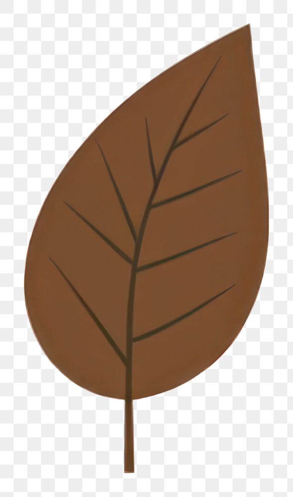 PNG Spring leaves leaf illustration simple.