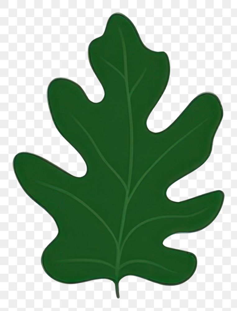 PNG Tropical leaves leaf illustration simple.