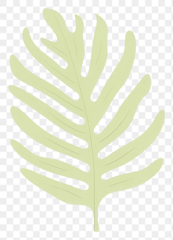 PNG Tropical leaves leaf illustration design.