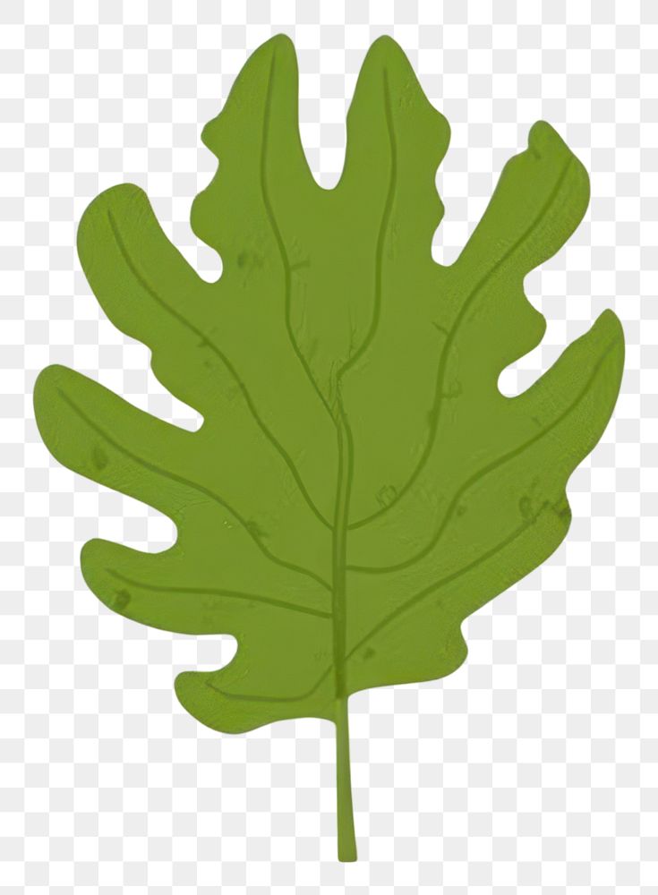 PNG Tropical leaves leaf illustration simple.