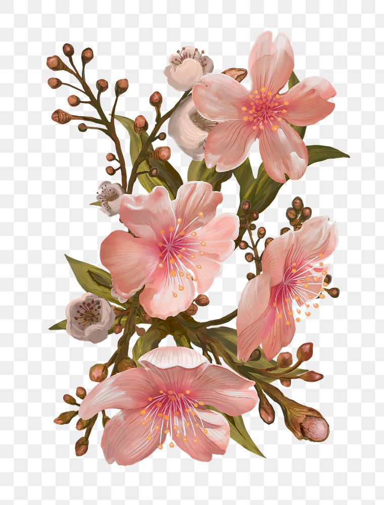 Cherry blossoms png flower sticker illustration, transparent background