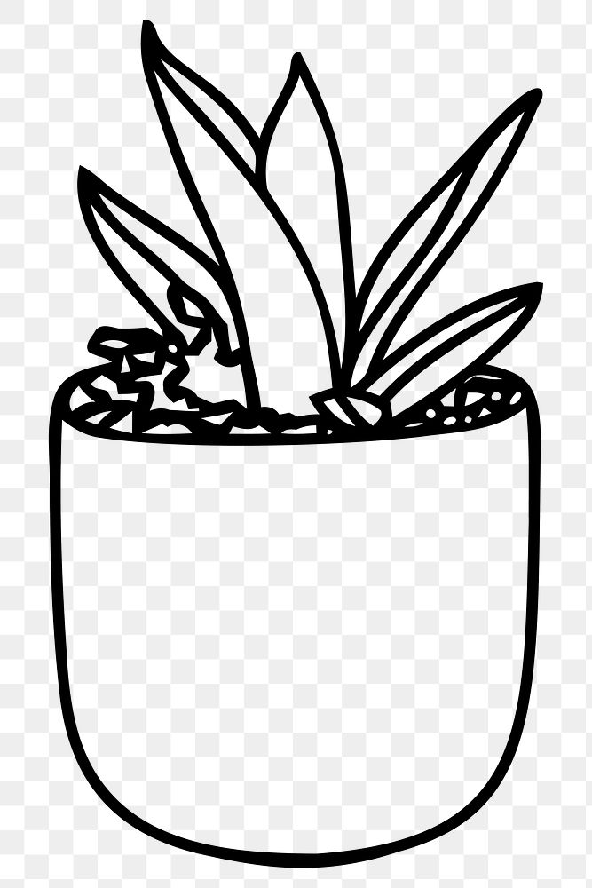 Potted snake plant png sticker, houseplant illustration on transparent background. Free public domain CC0 image.