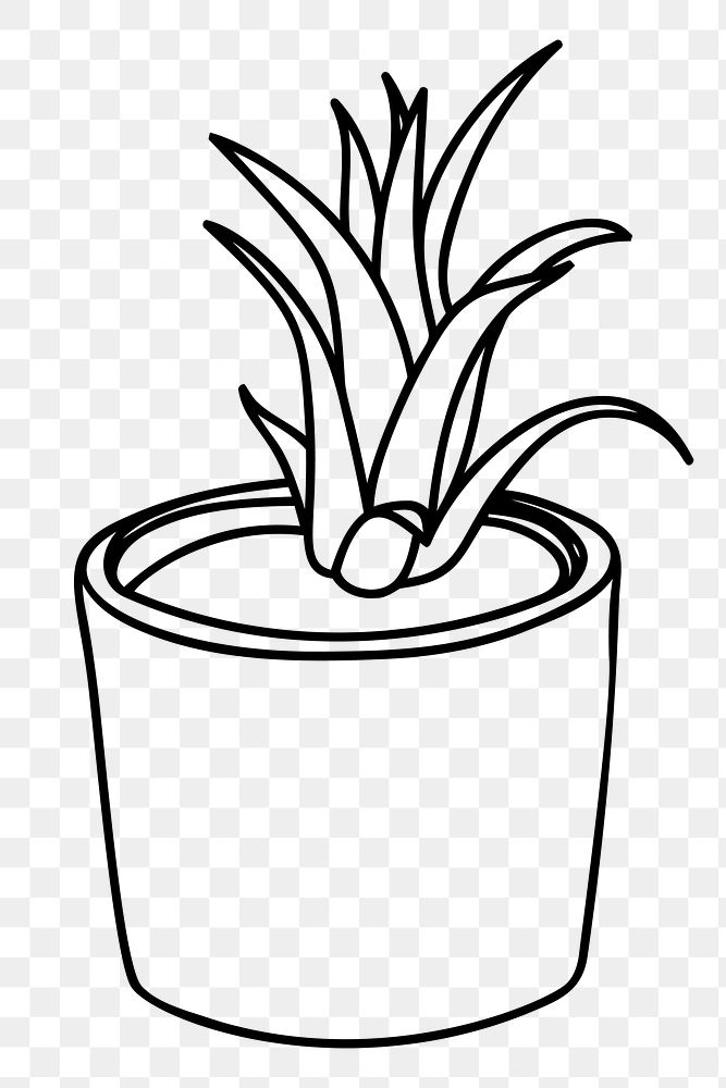 Minimal potted plant png sticker, botanical illustration on transparent background. Free public domain CC0 image.