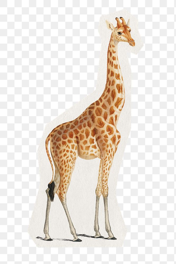 Giraffe png sticker, animal rough cut paper effect, transparent background