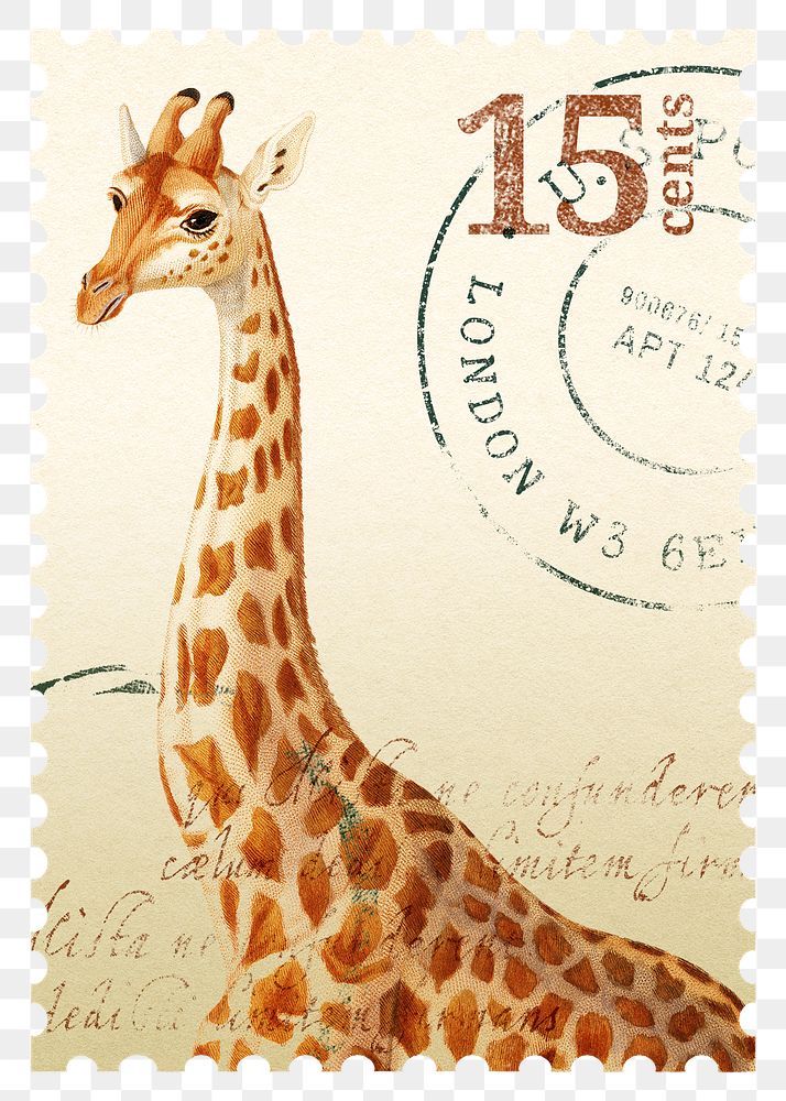 Png giraffe stamp sticker, transparent background