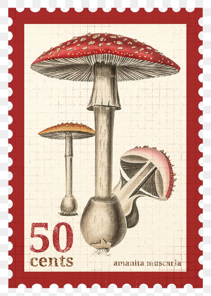 Png mushroom stamp sticker, transparent background