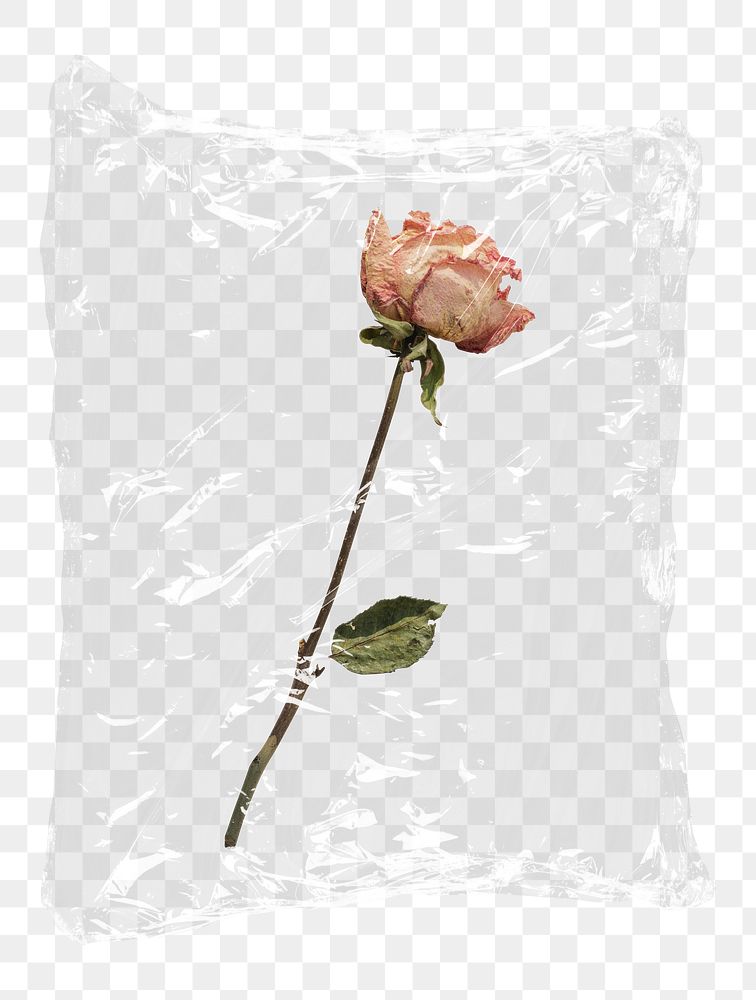 Aesthetic flower png plastic packaging sticker, transparent background