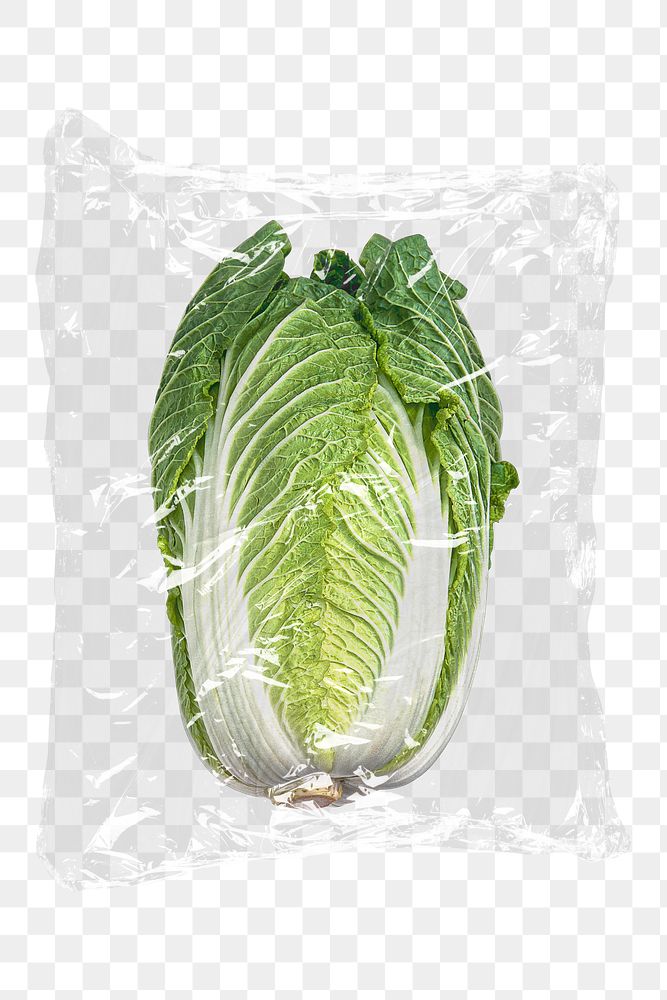 Napa cabbage png plastic packaging sticker, transparent background