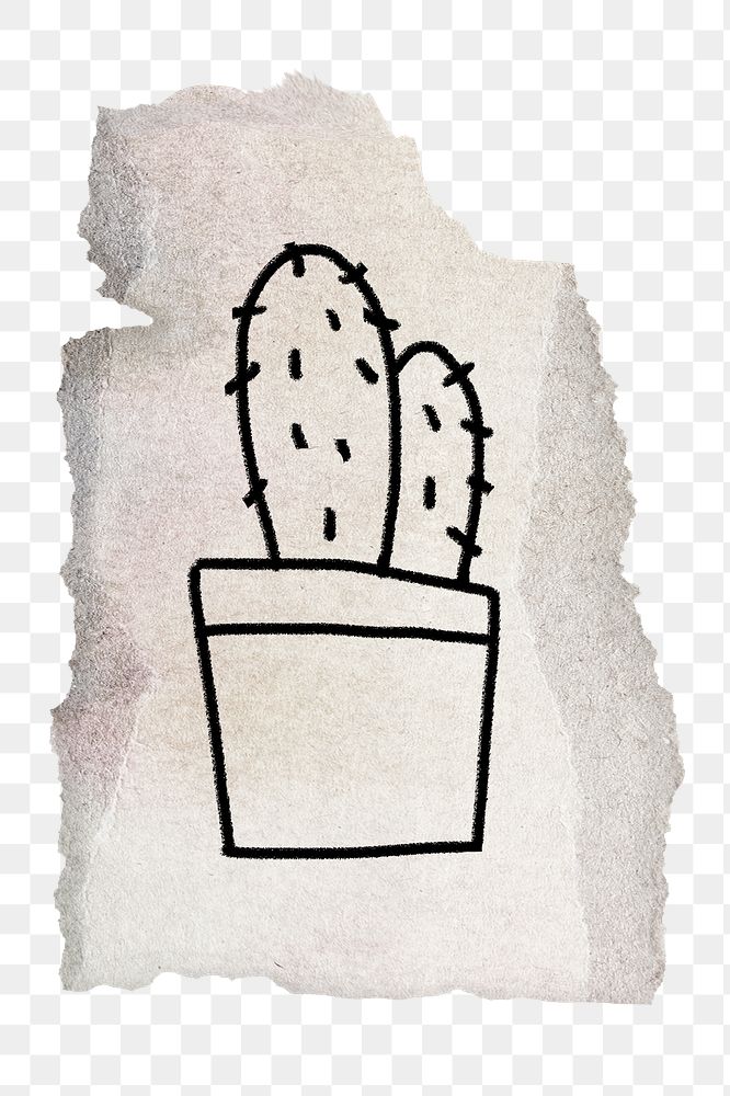 Cactus doodle png sticker, torn paper transparent background