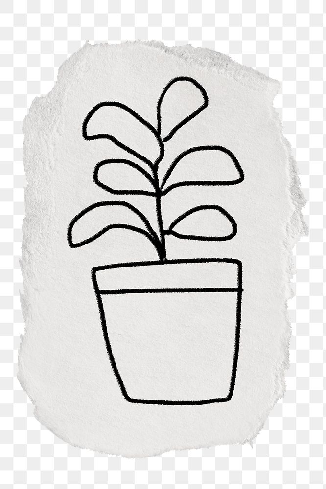 Potted plant doodle png sticker, torn paper transparent background