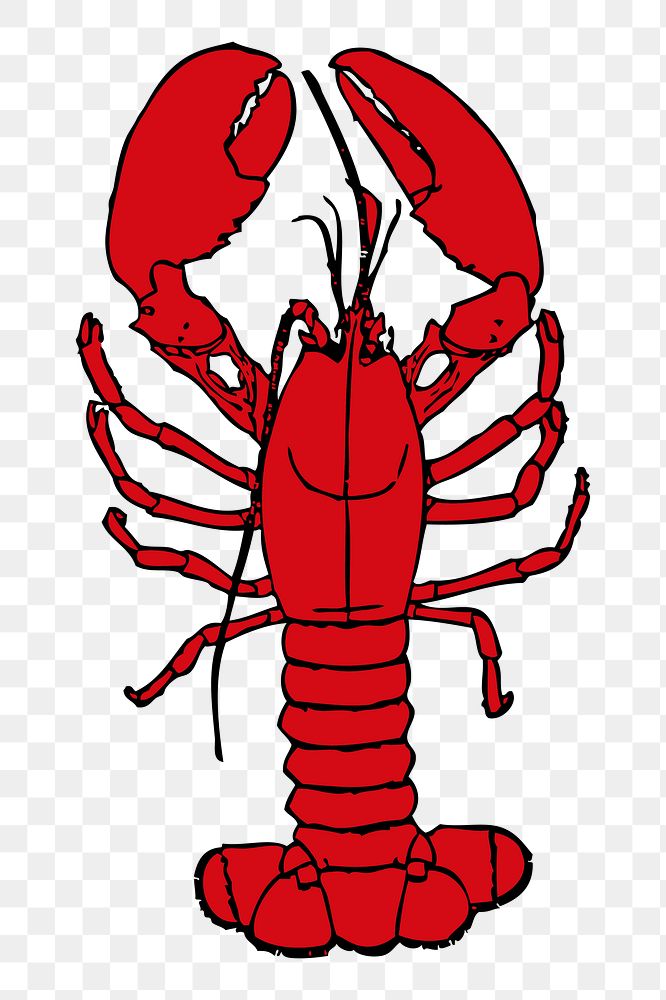 Lobster png sticker seafood illustration, transparent background. Free public domain CC0 image.