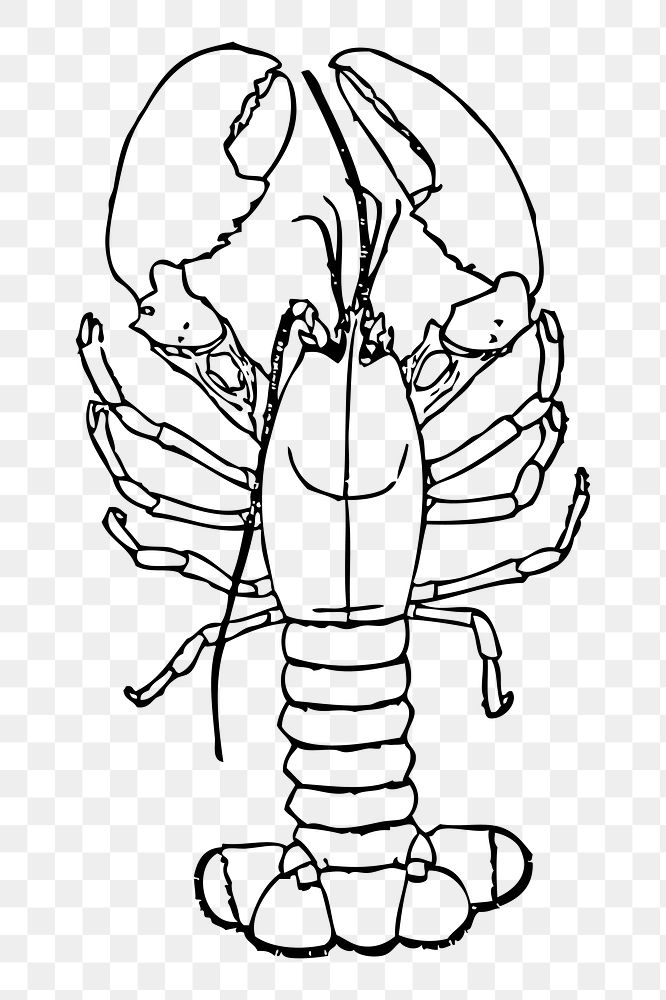 Lobster png sticker seafood illustration, transparent background. Free public domain CC0 image.