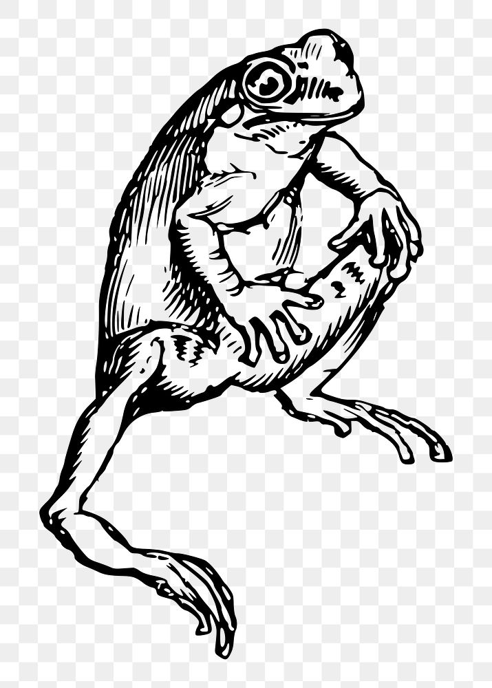 Frog png sticker illustration, transparent background. Free public domain CC0 image