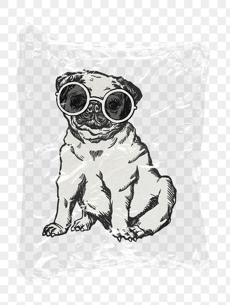 Pug puppy png plastic bag sticker, pet fashion concept art on transparent background