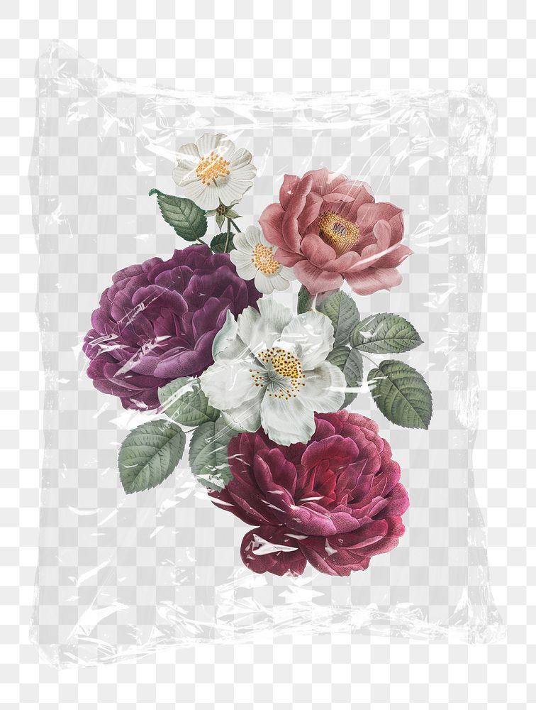 Aesthetic roses png flower plastic bag sticker, Spring concept art on transparent background