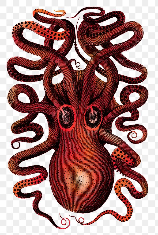 Red octopus png animal sticker, transparent background