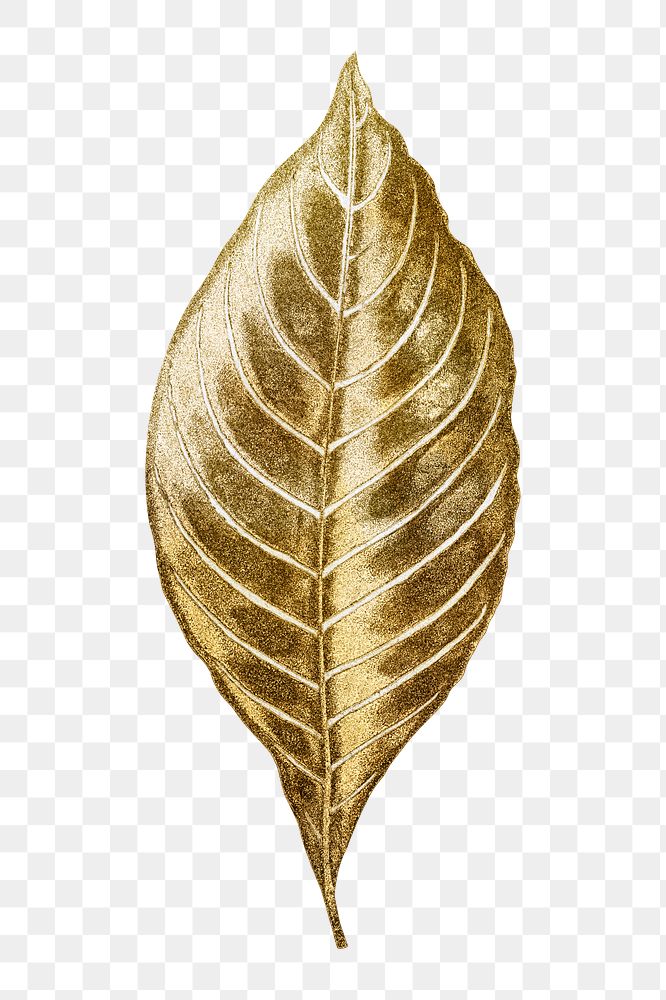 Gold leaf png sticker, aesthetic nature illustration on transparent background