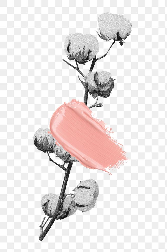 Cotton flower png sticker, pink brush stroke transparent background