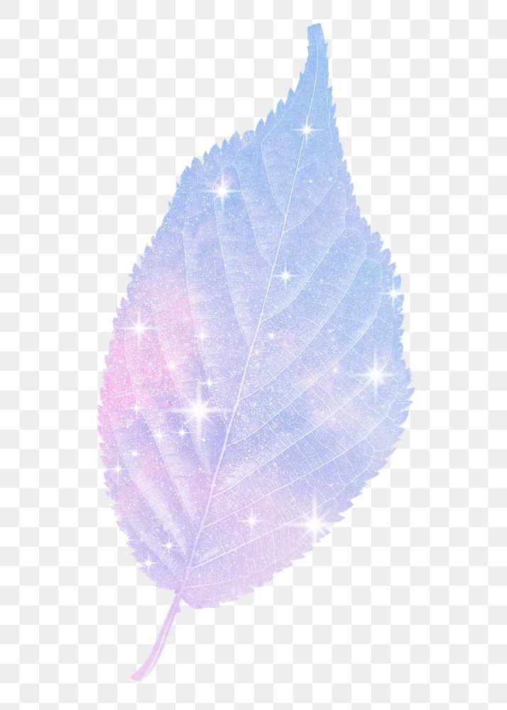 Pink holographic png leaf sticker, aesthetic plant on transparent background