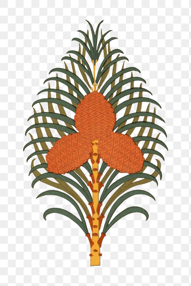 Exotic plant png sticker, transparent background