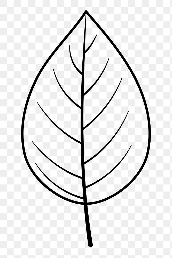 Leaf png doodle sticker, black & white illustration, transparent background