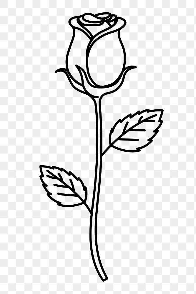 Rose png doodle sticker, black & white illustration, transparent background