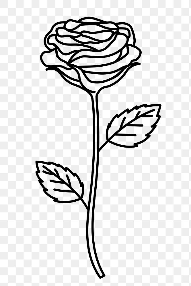 Rose png doodle sticker, black & white illustration, transparent background