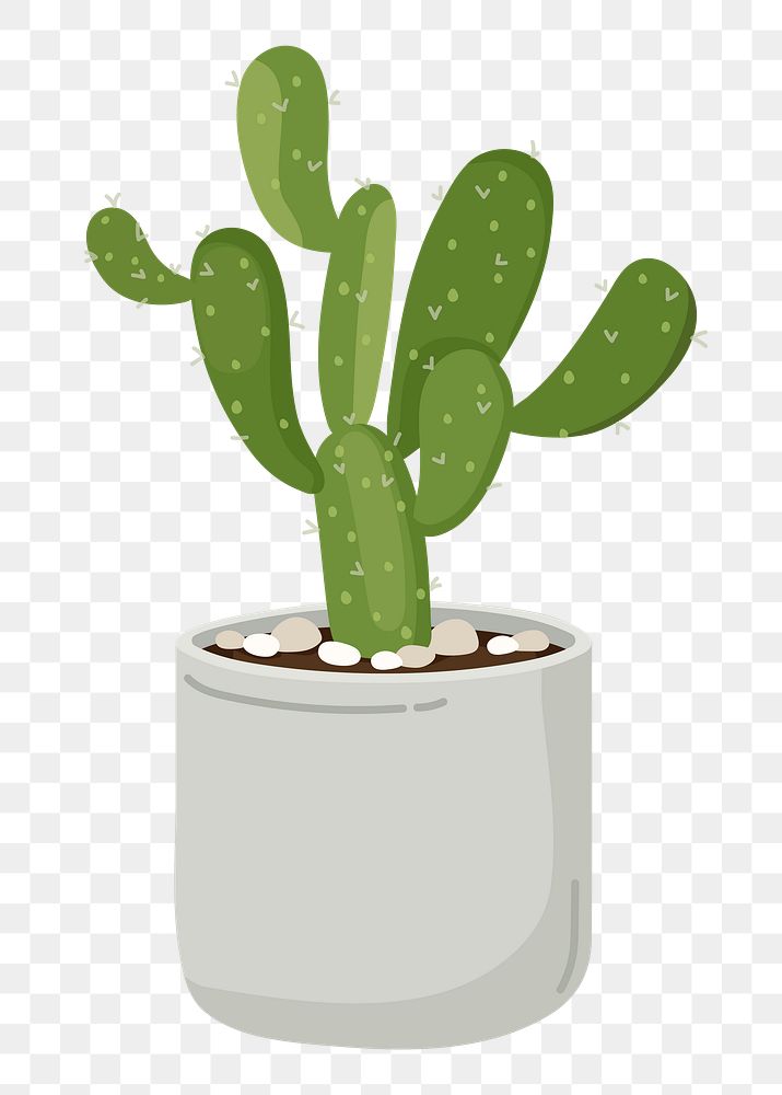 Cactus png sticker, cute illustration, transparent background
