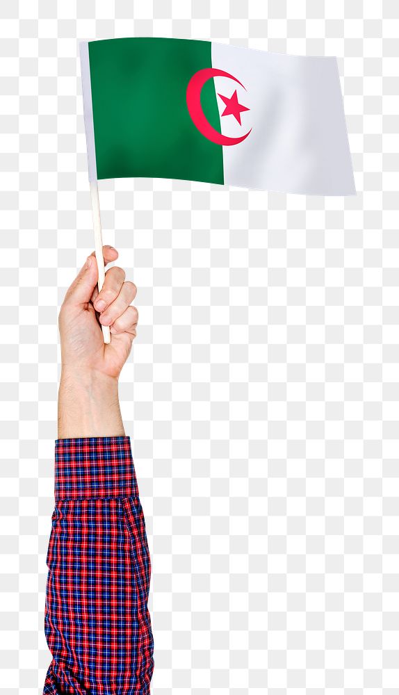Algeria's flag png in hand sticker on transparent background