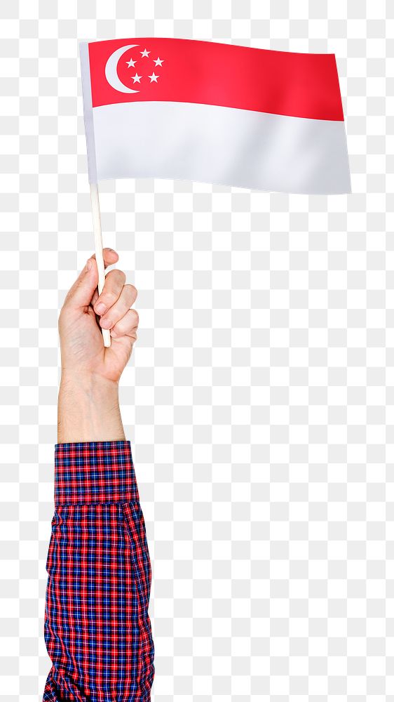 Singaporean flag png in hand sticker on transparent background