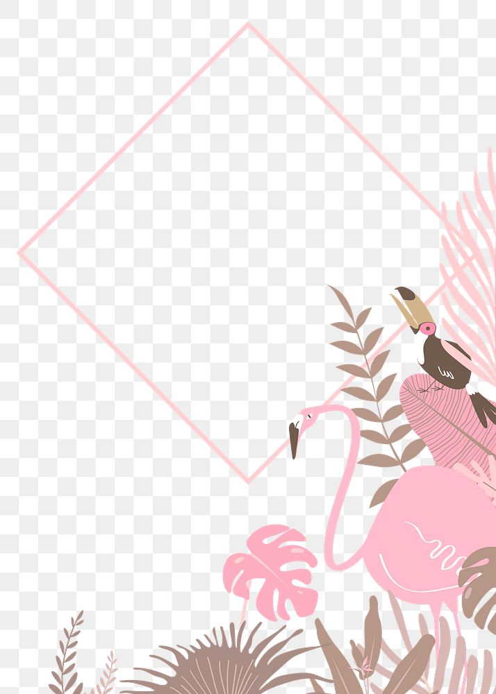 Pastel botanical frame png with tropical flamingo and toucans, transparent background 