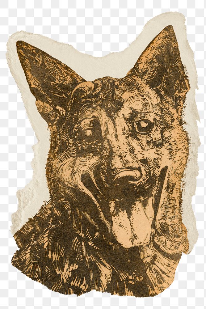 Png Dick Ket's dog sticker, pet vintage illustration on ripped paper, transparent background