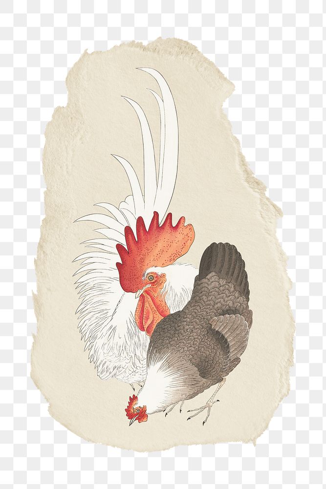 Png Ohara Koson's chicken sticker, japanese  vintage illustration on ripped paper, transparent background