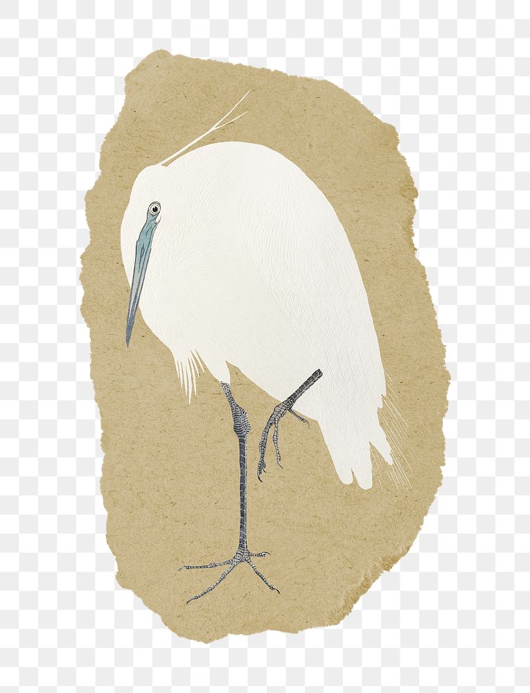 Png Ohara Koson's egret sticker, vintage illustration on ripped paper, transparent background
